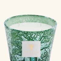 baobab collection sacred trees kamalo candle max 10