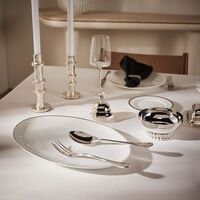 كريستوفل طقم أدوات المائدة آلبي مطلي بالفضة