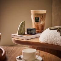 شمعة أطلس تيشكا ماكس 35 باوباب شمعة أطلس تيشكا ماكس 35