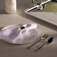 christofle silver time napkin white set of 2