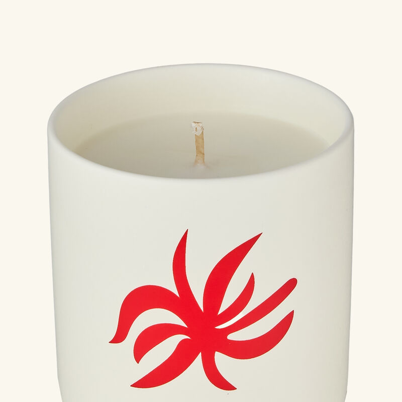 assouline ibiza bohemia candle