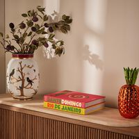 assouline santo domingo book 33x25cm