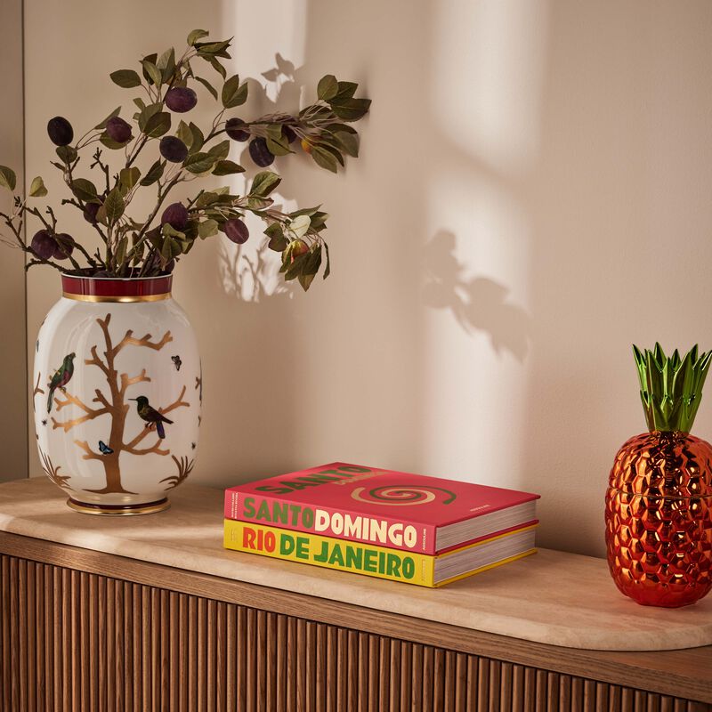 assouline santo domingo book 33x25cm