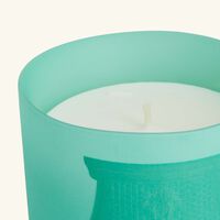 trudon under the trees candle 270g