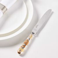 Jeden Knife Silver Plated christofle jeden knife silver plated