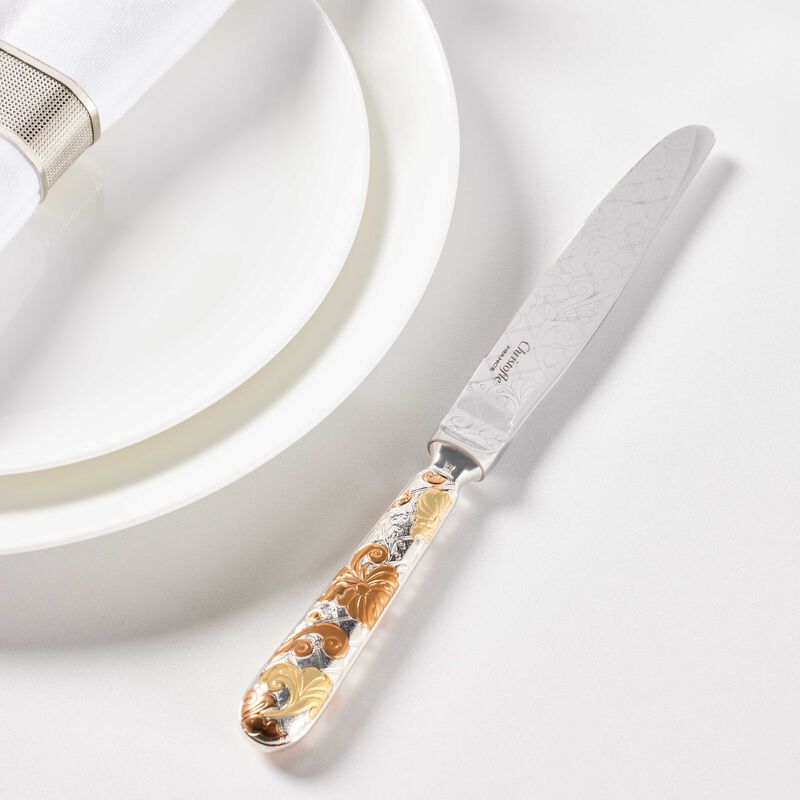 Jeden Knife Silver Plated christofle jeden knife silver plated