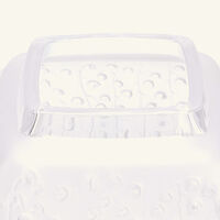 لاليك مزهرية بوتانيكا متوسطة شفافة