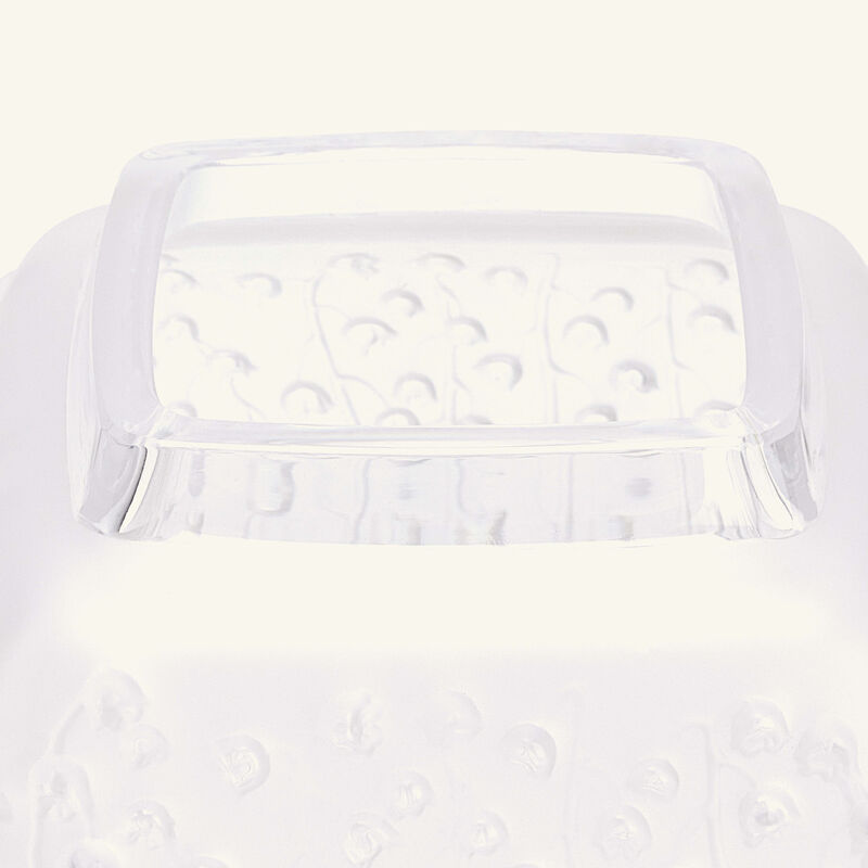 لاليك مزهرية بوتانيكا متوسطة شفافة