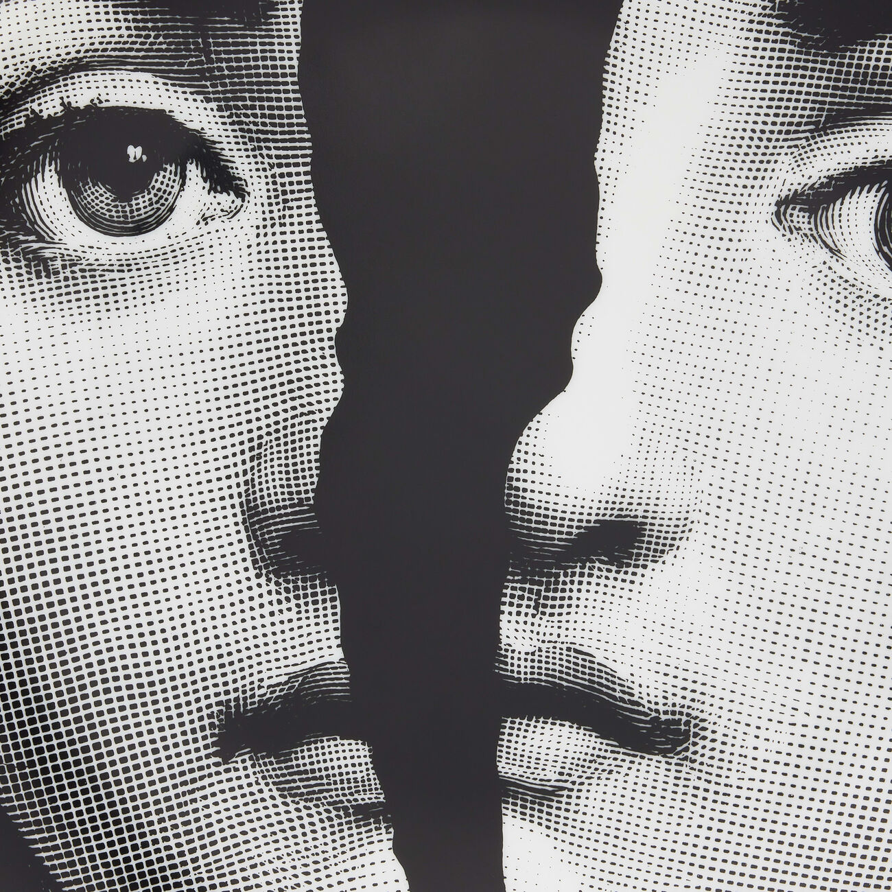 Tema e Variazioni no.10 Wall Plate fornasetti tema e variazioni no 10 wall plate