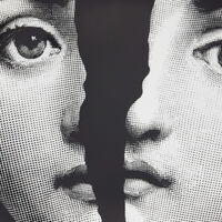 Tema e Variazioni no.10 Wall Plate fornasetti tema e variazioni no 10 wall plate