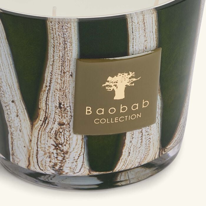 baobab collection woods sherwood candle max 10