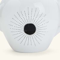 bernardaud aboro teapot white