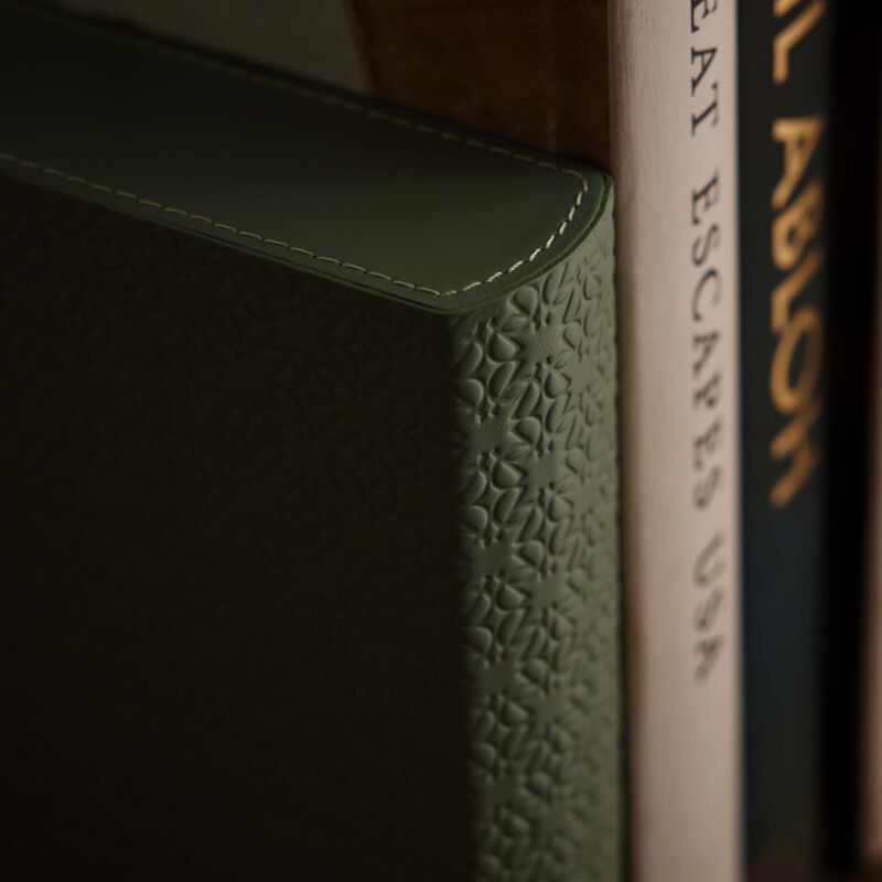 جيوبانيارا مسند الكتب إيلي صعب مونوغرام أجاتا باللون الأخضر