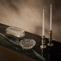 mario cioni   c meta morphosis tissue box clear