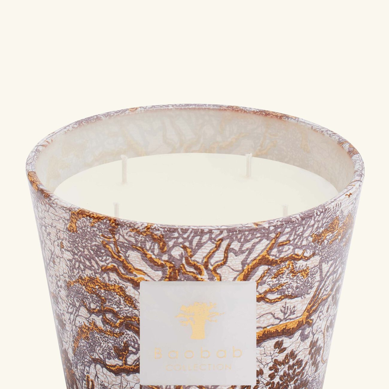 Sacred Trees Dualla Candle Max 10 baobab collection sacred trees dualla candle max 10