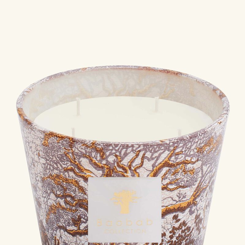 Sacred Trees Dualla Candle Max 10 baobab collection sacred trees dualla candle max 10