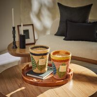 باوباب شمعة رافينتسارا هانيترا ماكس 24