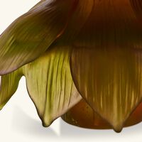 دوم مزهرية جاردان دو لوتس بالحجم المتوسط