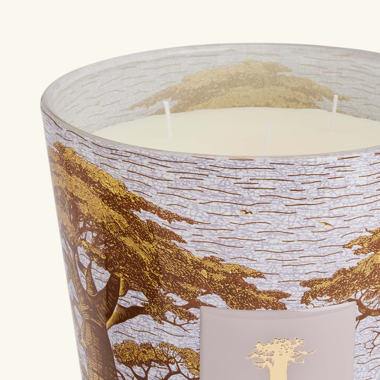 baobab collection sacred trees boukani candle max 24