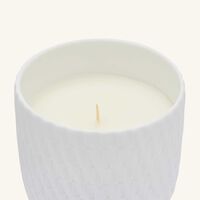 bernardaud immortal tumbler with candle