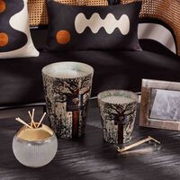 Sacred Trees Morondo Candle Max 24 baobab collection sacred trees morondo candle max 24