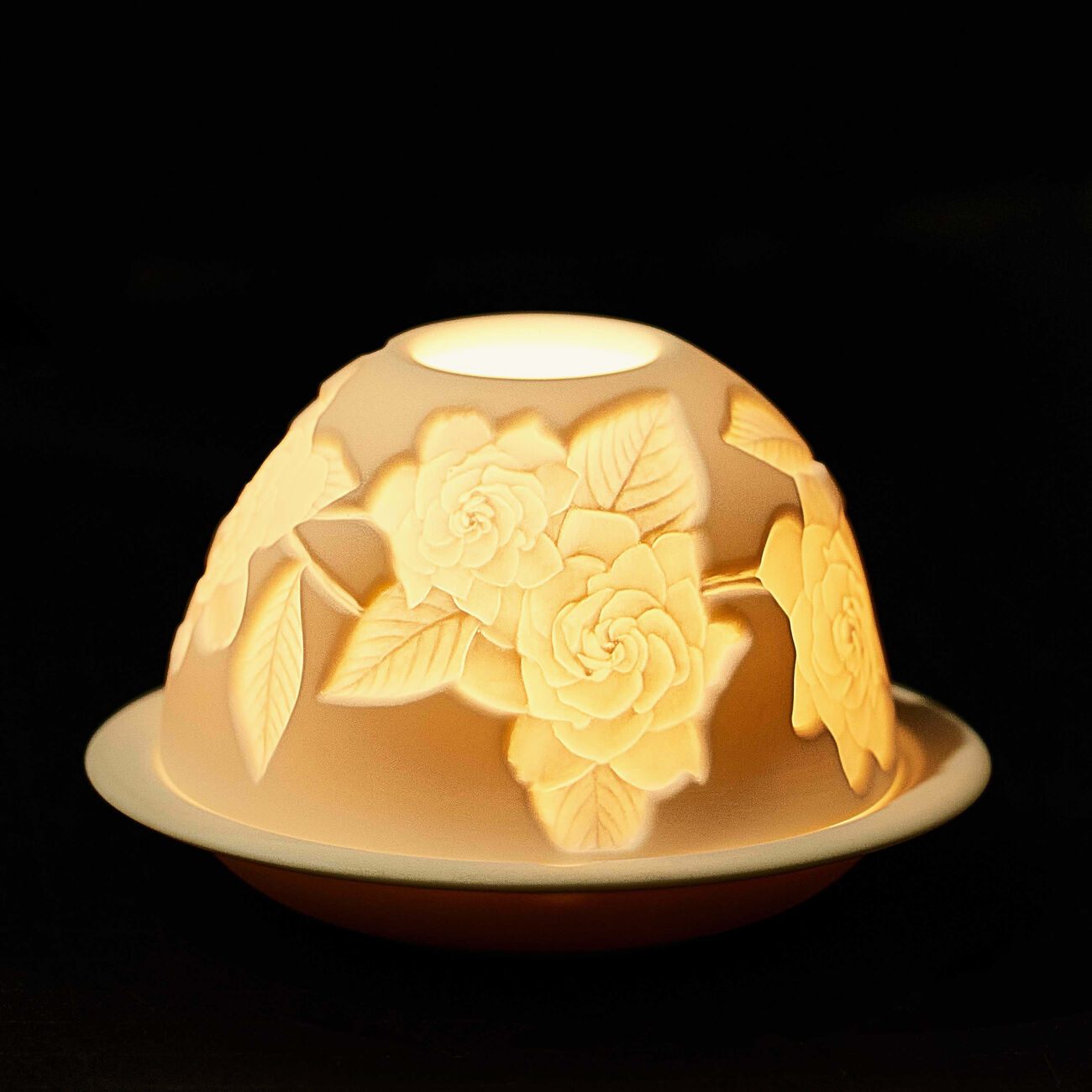 برناردو مصباح ليثوفاني جاردينيا فلاور