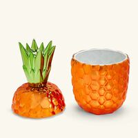 Victoria Pineapple Box Orange bernardaud victoria pineapple box orange