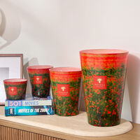 baobab collection poppies candles max 35