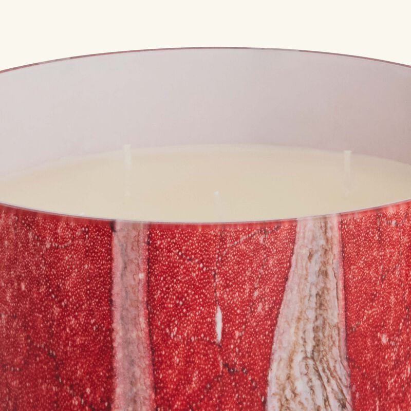 Woods Risoud Candle Max 24 baobab collection woods risoud candle max 24