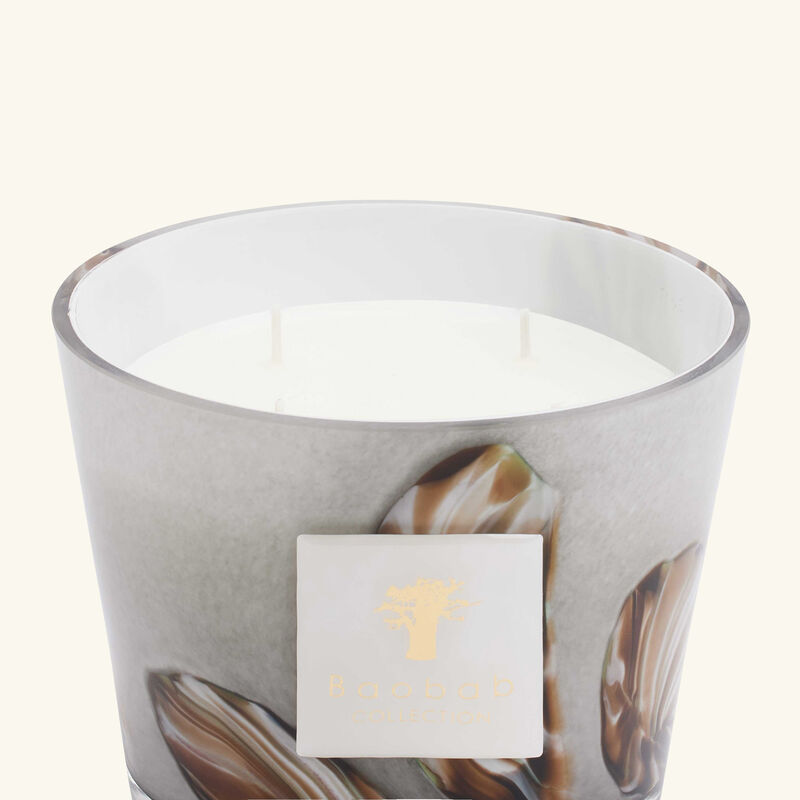Oceania Anangu Candle Max 10 baobab collection oceania anangu candle max 10