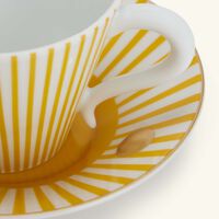 bernardaud delphos brick tea cup   saucer pattern