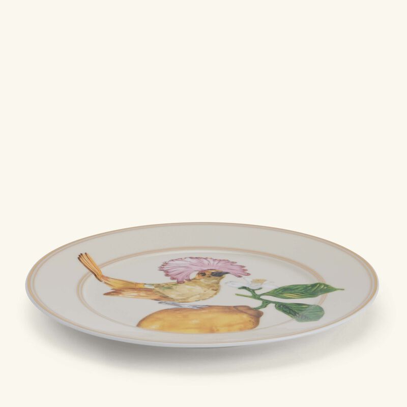 روزنتال طبق آيديليا المستدير للخبز والزبدة   18 سم   مزيّن بنقش على شكل طائر جميل