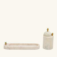 إيرا أودايبور قاعدة القرطااسية سايون توتا بيضاء