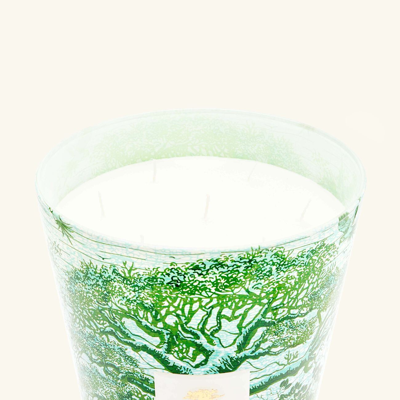 Sacred Trees Kamalo Candle Maxi Max baobab collection sacred trees kamalo candle maxi max