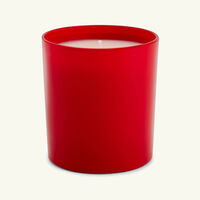 دولتشي أند غابانا كازا شمعة وايلد جاسمين