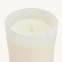 Ernesto Candle 270g trudon ernesto candle 270g