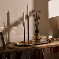 Royal Reflection Diffuser baobab collection royal reflection diffuser