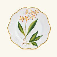 pinto paris histoires d orchidees dinner plate round white 26cm
