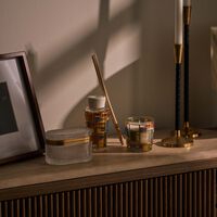 baobab collection my first baobab   ocean drive giftbox