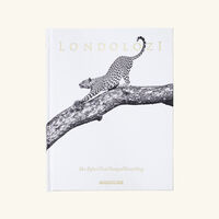 Londolozi The Safari That Changed Everything Book 30x24cm assouline londolozi the safari that changed everything book 30x24cm