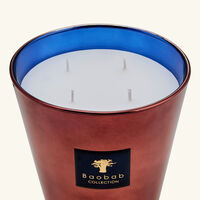 baobab collection les exclusives cyprium candle max 16