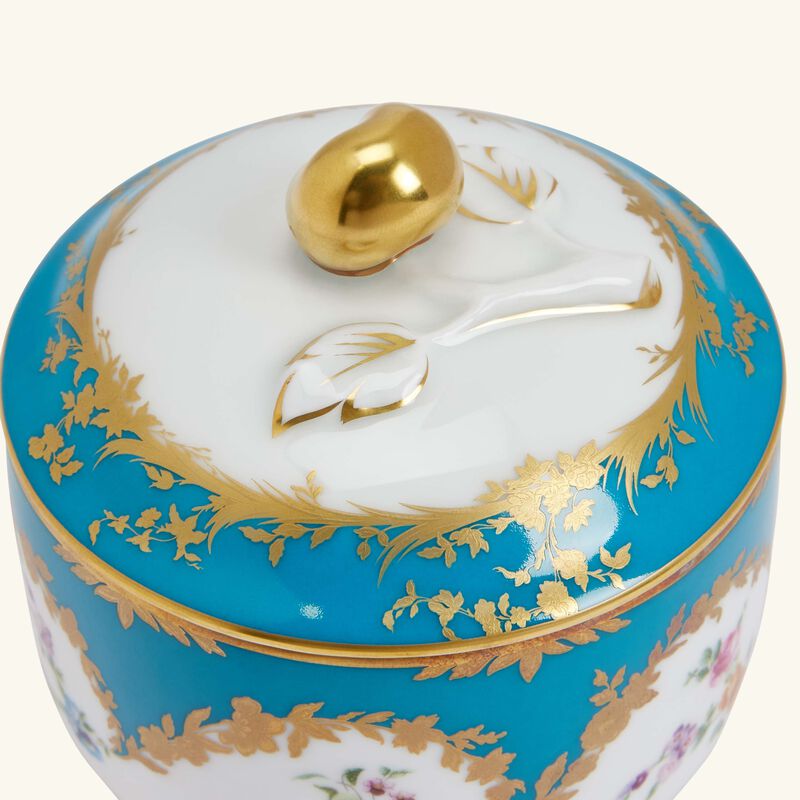 برناردو سكرية سيكل زرقاء