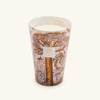 Sacred Trees Dualla Candle Maxi Max baobab collection sacred trees dualla candle maxi max