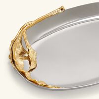 لوبجيه صينية فيرن بالحجم الصغير