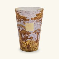 باوباب شمعة سيكرد تريز كوكودي ماكس 35