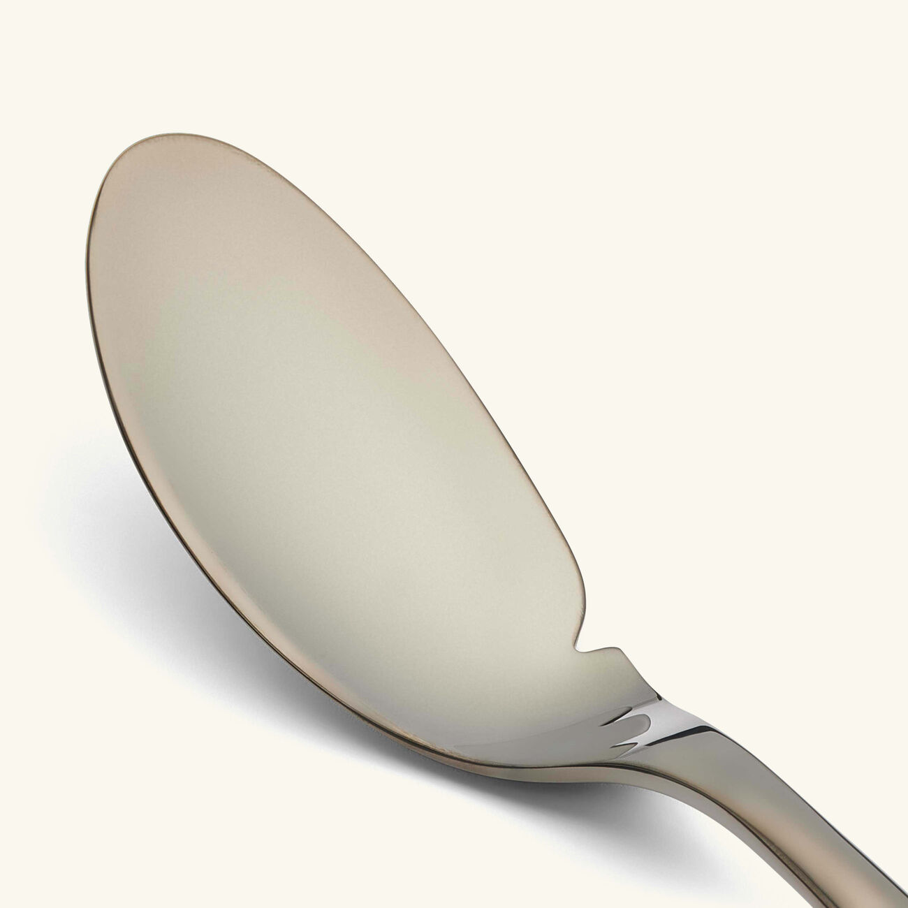 كريستوفل سكين السمك لام دو فيش أسود