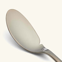 كريستوفل سكين السمك لام دو فيش أسود