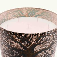 baobab collection sacred trees morondo candle maxi max
