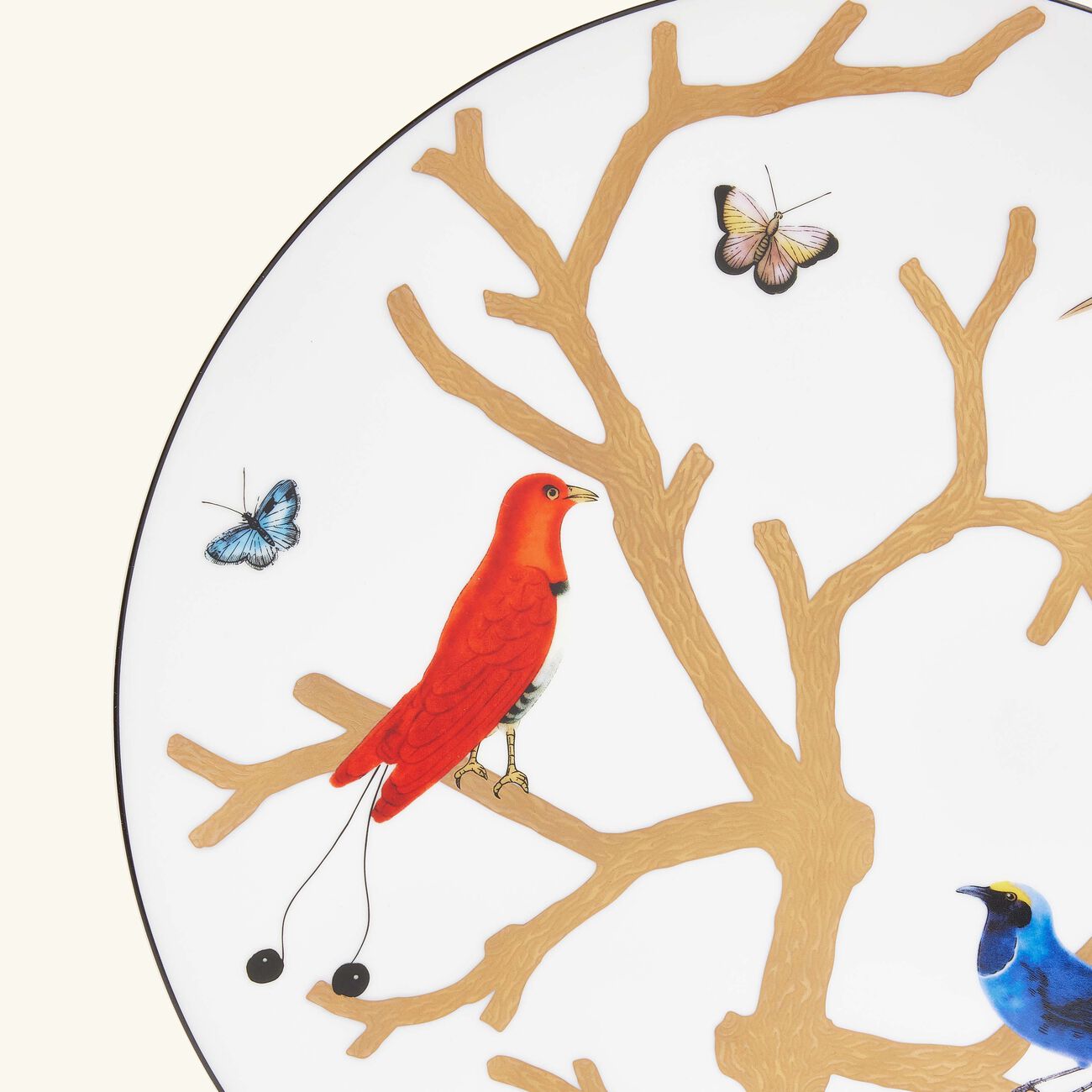 bernardaud aux oiseaux service plate round gold 31cm