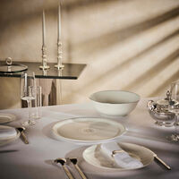 كريستوفل طبق السلطة آلبي باللون الفضي 25 سم